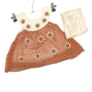 baby girl's chiffon embroidered frock and trouser set
