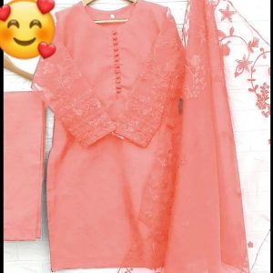 3 pcs women's stitched organza embroidered suit